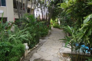 Tropical Garden